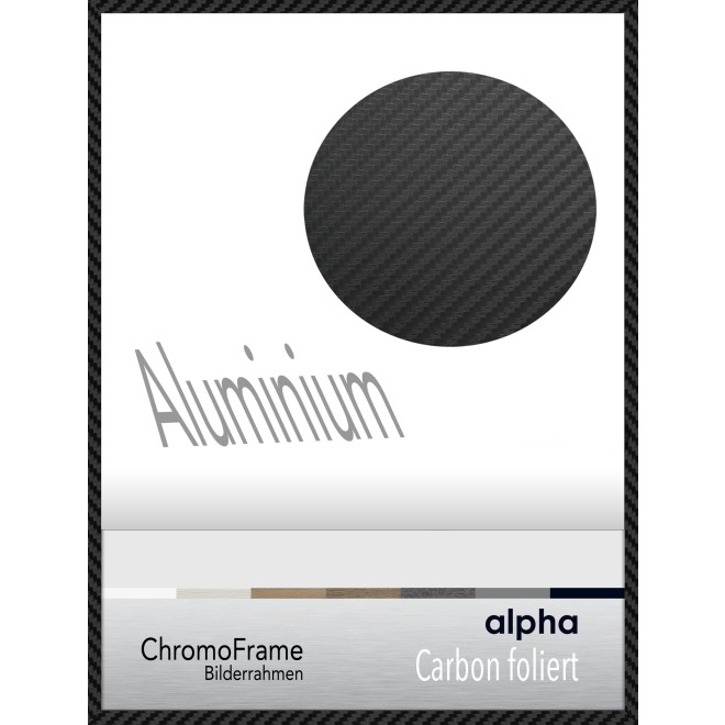 Alpha , 89.5x128 cm F4 Plakat (Weltformat)